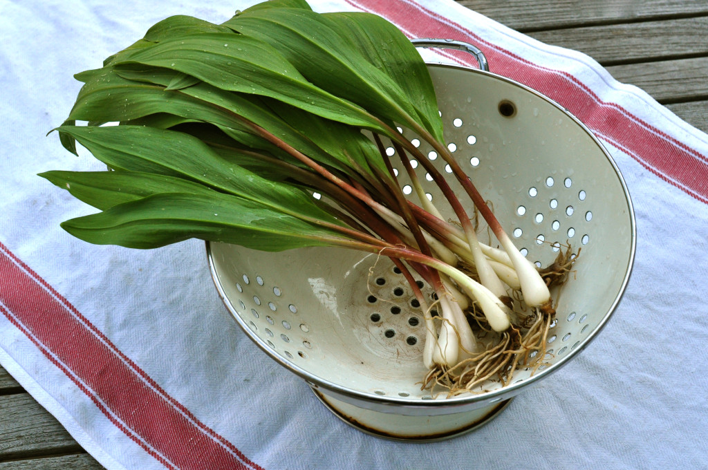 ramps_for_Sam